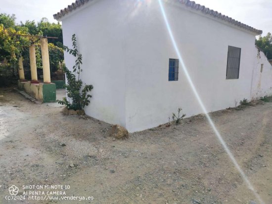  Finca en venta en Coín (Málaga) 