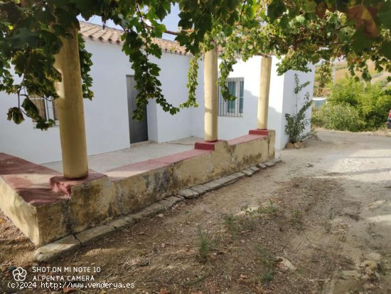 Finca en venta en Coín (Málaga)