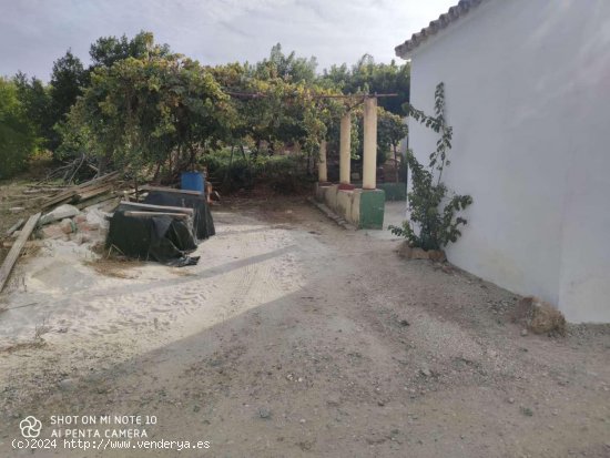 Finca en venta en Coín (Málaga)