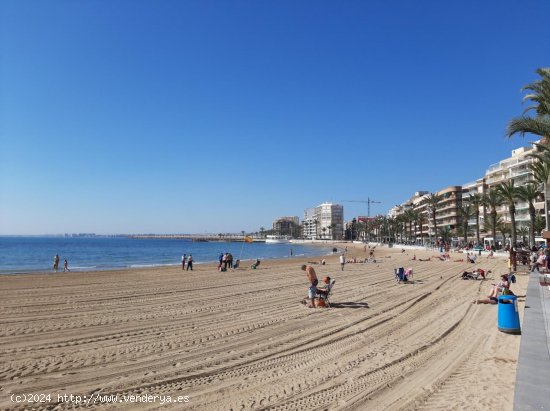 Piso en alquiler en Torrevieja (Alicante)