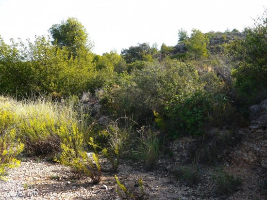 Finca en venta en La Font d En Carròs (Valencia)