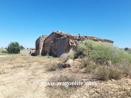  Finca en venta en Caspe (Zaragoza) 