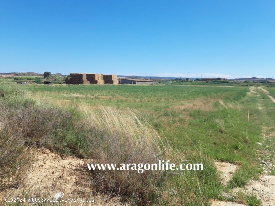 Finca en venta en Caspe (Zaragoza)