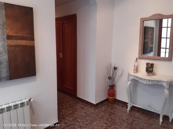 Apartamento en alquiler en Oliva (Valencia)