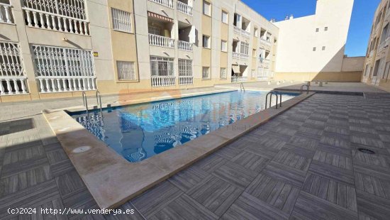  Apartamento en venta en Torrevieja (Alicante) 