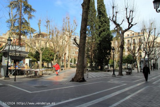  Piso en alquiler en Granada (Granada) 