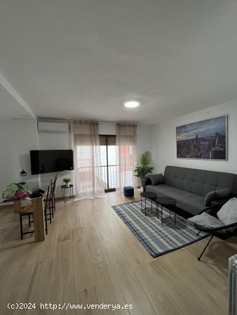  Estudio en alquiler en Granada (Granada) 