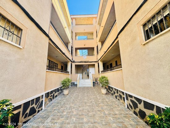  Estudio en venta en Torrevieja (Alicante) 