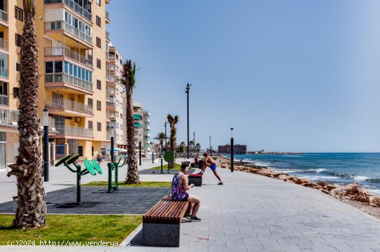 Apartamento en venta en Torrevieja (Alicante)