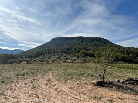 Finca en venta en Valderrobres (Teruel)