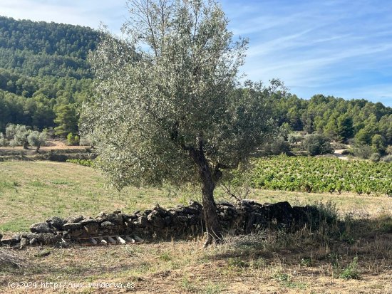 Finca en venta en Valderrobres (Teruel)