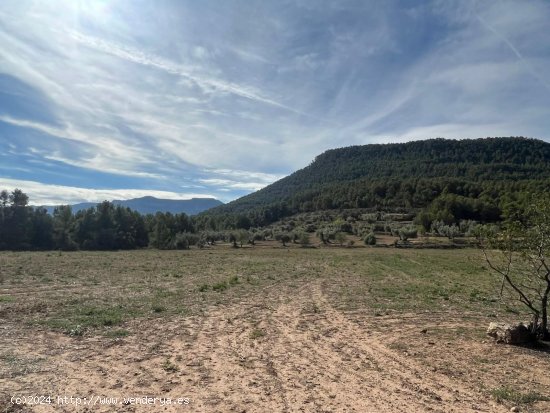 Finca en venta en Valderrobres (Teruel)