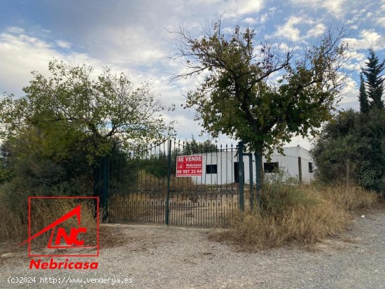  Parcela en venta en Las Cabezas de San Juan (Sevilla) 