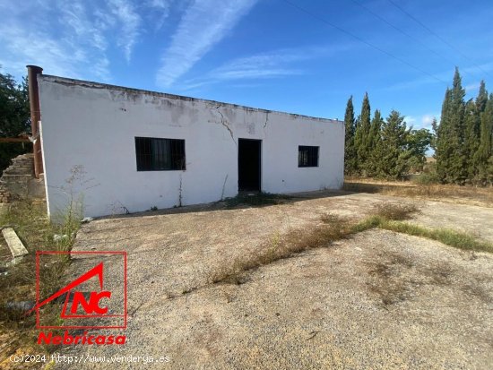 Parcela en venta en Las Cabezas de San Juan (Sevilla)