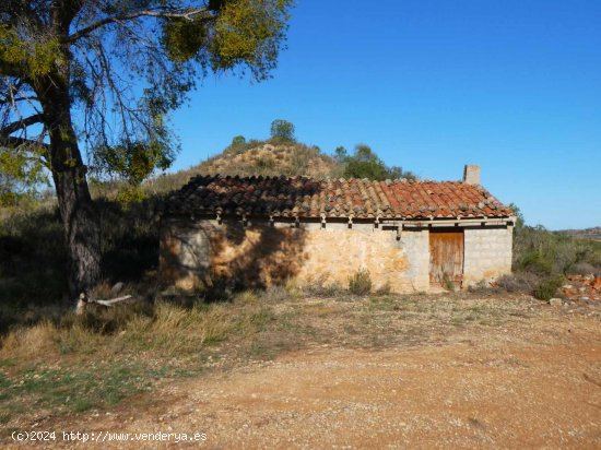 Finca en venta en Maella (Zaragoza)