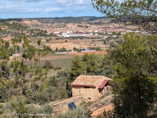 Finca en venta en Valderrobres (Teruel)