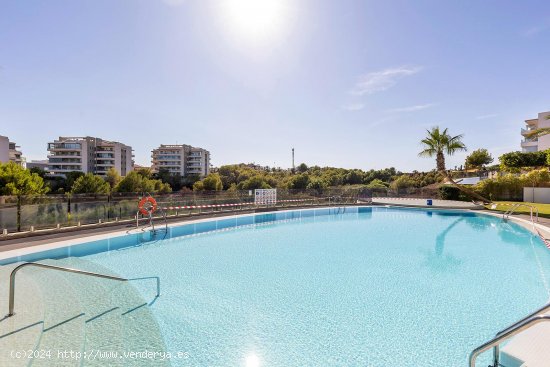 Apartamento en venta en Orihuela (Alicante)