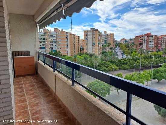  Apartamento en alquiler en Alicante (Alicante) 