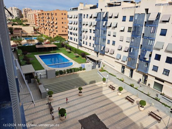 Apartamento en alquiler en Alicante (Alicante)