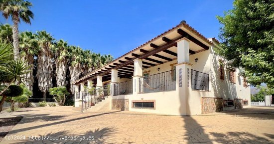 Finca en venta en Orihuela (Alicante)