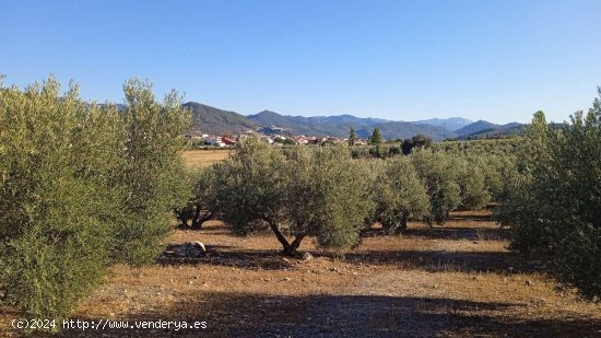 Finca en venta en Segura de la Sierra (Jaén)