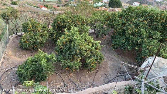 Finca en venta en Mogán (Las Palmas)