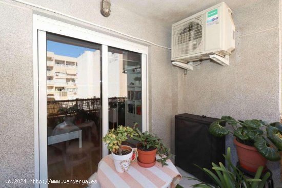 Apartamento en venta en Torrevieja (Alicante)