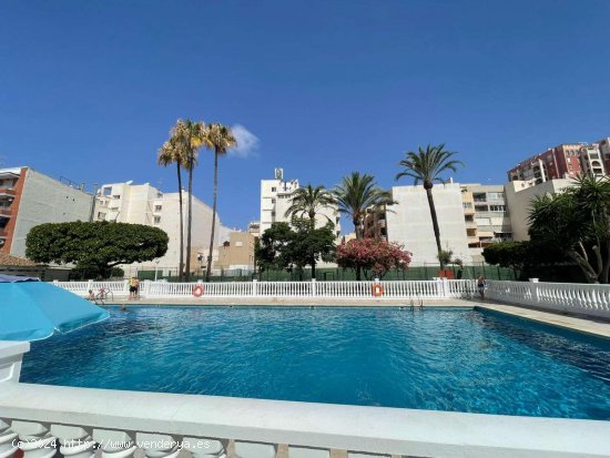 Piso en venta en Torrevieja (Alicante)