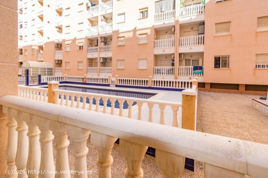 Apartamento en venta en Torrevieja (Alicante)