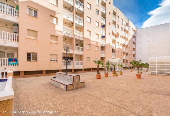 Apartamento en venta en Torrevieja (Alicante)