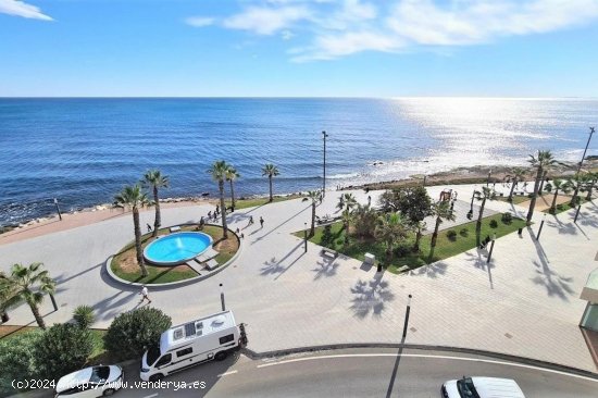 Apartamento en venta en Torrevieja (Alicante)