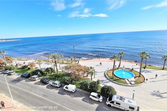 Apartamento en venta en Torrevieja (Alicante)