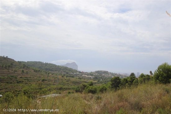 Parcela en venta en Calpe (Alicante)