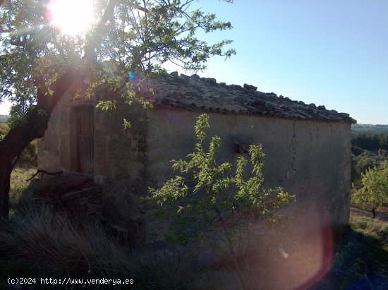  Finca en venta en Calaceite (Teruel) 