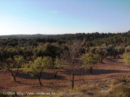 Finca en venta en Calaceite (Teruel)