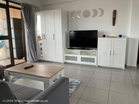 Apartamento en alquiler en Calvià (Baleares)