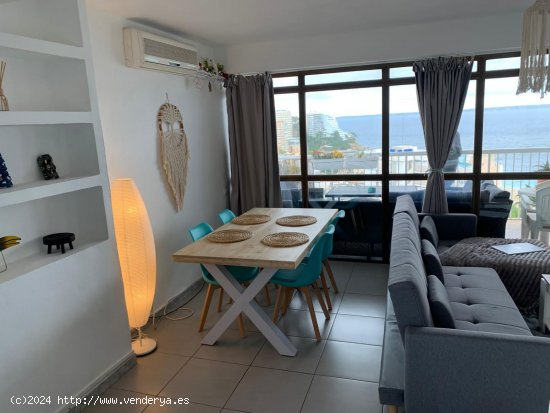 Apartamento en alquiler en Calvià (Baleares)