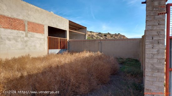 Finca en venta en Caspe (Zaragoza)