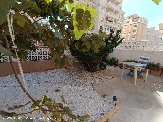 Apartamento en venta en Torrevieja (Alicante)