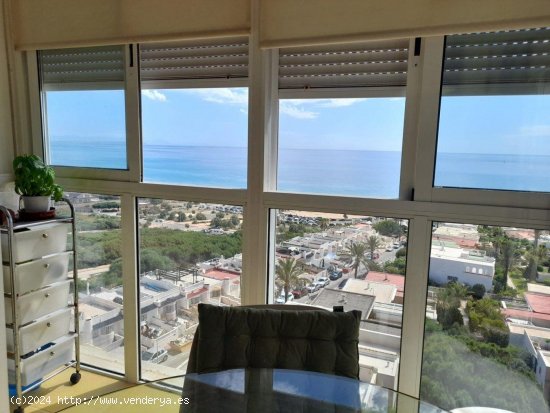 Apartamento en venta en Torrevieja (Alicante)