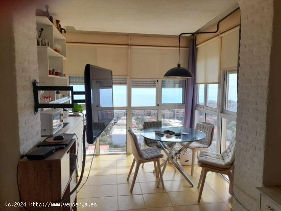 Apartamento en venta en Torrevieja (Alicante)