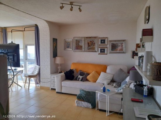 Apartamento en venta en Torrevieja (Alicante)