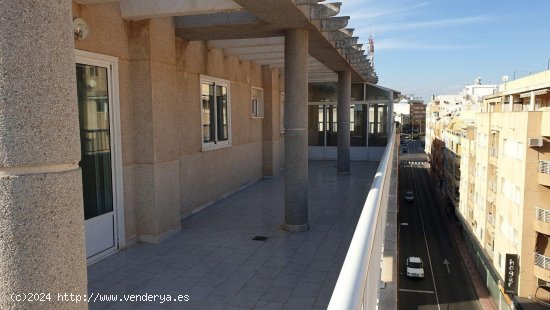 Piso en venta en Torrevieja (Alicante)