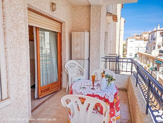 Apartamento en venta en Torrevieja (Alicante)