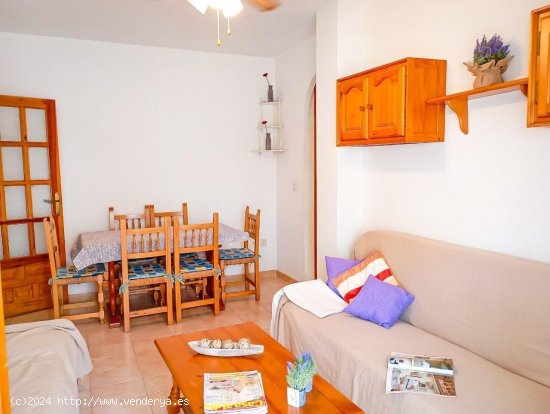 Apartamento en venta en Torrevieja (Alicante)