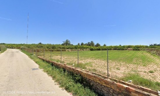 Finca en venta en Guardamar del Segura (Alicante)