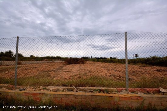 Finca en venta en Guardamar del Segura (Alicante)