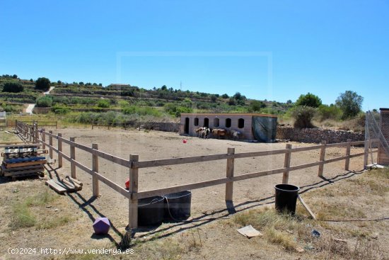  Solar en venta en Benissa (Alicante) 