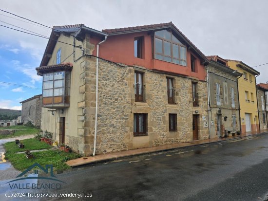  Casa en venta en Valle de Valdebezana (Burgos) 