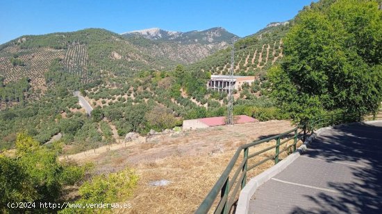 Solar en venta en Hornos (Jaén)